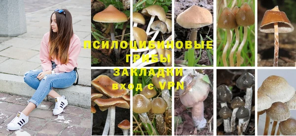МДПВ Володарск