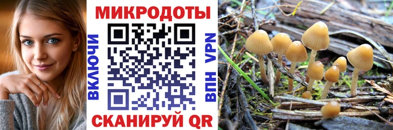 Псилоцибиновые грибы прущие грибы  Купить  Уссурийск 